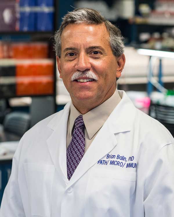 Professional headshot photograph of Brian Balin, PhD, posing in a research laboratory.