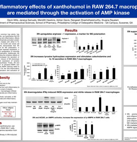 Anti-inflammatory Effects Of Xanthohumol