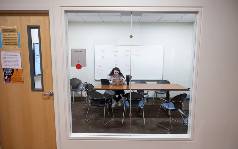 Photo looking through a window of a student using a laptop in a PCOM Georgia study room