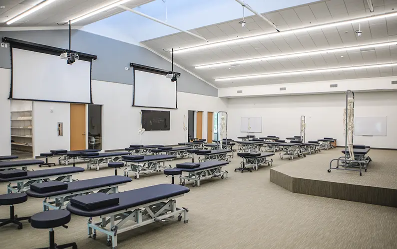 Spacious, modern teaching lab with osteopathic manipulative medicine (OMM) tables and natural light.